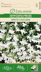 Lobeelia White cascade hind ja info | Lilleseemned | kaup24.ee