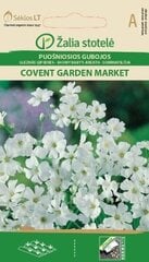 Гипсофила Covent garden market цена и информация | Зайцехвост яйцевидный | kaup24.ee