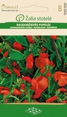 Бобы турецкие цена и информация | Семена цветов | kaup24.ee