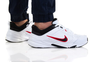 Spordijalatsid meestele Nike Defyallday DJ1196101 цена и информация | Кроссовки для мужчин | kaup24.ee