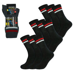 Мужские спортивные носки, 3 пары Bisoks 11011K, серые, 3 шт. цена и информация | Мужские носки | kaup24.ee