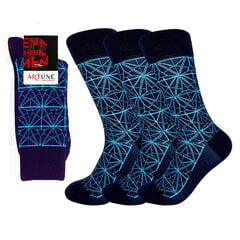 Мужские классические носки Bisoks 12308 синие, 3 пары цена и информация | Мужские носки | kaup24.ee