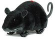 Puldiga suur hiir, must hind ja info | Poiste mänguasjad | kaup24.ee
