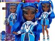 Rainbow High nukk tüdrukutele Coco Vanderbalt цена и информация | Tüdrukute mänguasjad | kaup24.ee