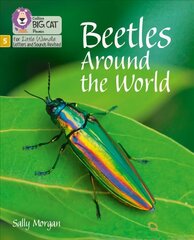 Beetles Around the World: Phase 5 Set 4 hind ja info | Noortekirjandus | kaup24.ee