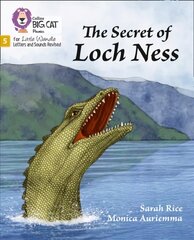 Secret of Loch Ness: Phase 5 Set 4 hind ja info | Noortekirjandus | kaup24.ee