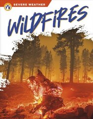 Severe Weather: Wildfires цена и информация | Книги для подростков и молодежи | kaup24.ee