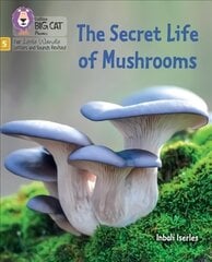 Secret Life of Mushrooms: Phase 5 Set 4 Stretch and Challenge цена и информация | Книги для подростков и молодежи | kaup24.ee