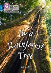 In a Rainforest Tree: Band 04/Blue цена и информация | Книги для подростков и молодежи | kaup24.ee