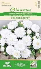 Астра китайская Colour carpet цена и информация | Зайцехвост яйцевидный | kaup24.ee