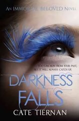 Darkness Falls (Immortal Beloved Book Two) цена и информация | Книги для подростков и молодежи | kaup24.ee