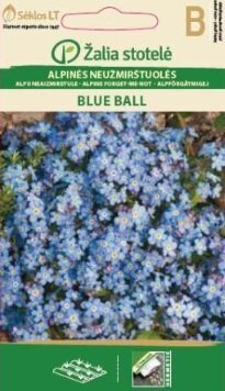 Alpi meelespea Blue ball hind ja info | Lilleseemned | kaup24.ee