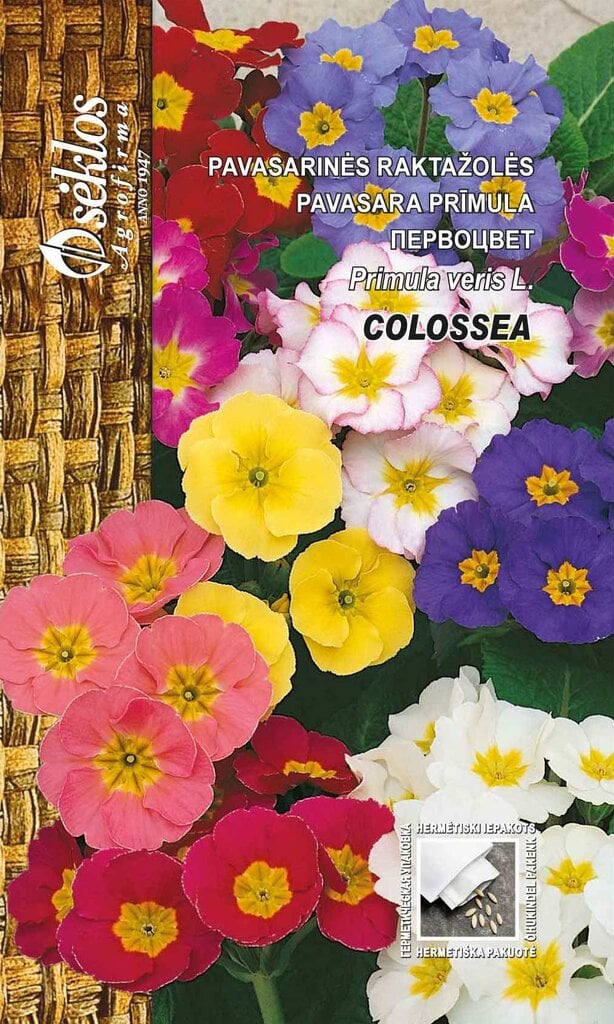 Priimula Colossea цена и информация | Lilleseemned | kaup24.ee