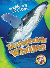 Humpback Whales цена и информация | Книги для подростков и молодежи | kaup24.ee