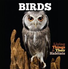 Birds цена и информация | Книги для подростков и молодежи | kaup24.ee