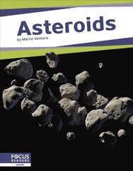 Space: Asteroids hind ja info | Noortekirjandus | kaup24.ee