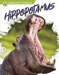 Deadliest Animals: Hippopotamus hind ja info | Noortekirjandus | kaup24.ee