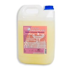 WC puhastusvahend Ewol Sanitar Gel, 5L hind ja info | Puhastusvahendid | kaup24.ee