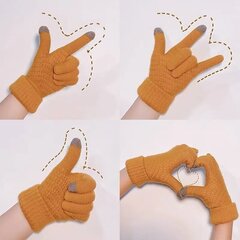 Зимние перчатки C108011-1, светло-коричневые цена и информация | Женские перчатки | kaup24.ee