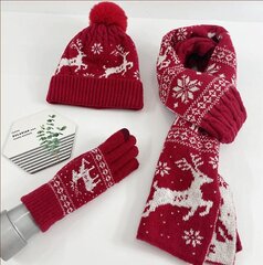 Зимний комплект (перчатки, шарф, шапка) М108001, красный цена и информация | Женские шапки | kaup24.ee