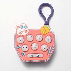 Развивающая игра Bubble Sensory Fidget Carrot цена и информация | Игрушки для девочек | kaup24.ee