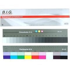 BIG 486021 hind ja info | Fotovalgustuse seadmed | kaup24.ee