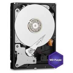 Жесткий диск Western Digital Purple WD11PURZ цена и информация | Внутренние жёсткие диски (HDD, SSD, Hybrid) | kaup24.ee