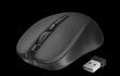 Trust Mydo Silent Click, black - Wireless Optical Mouse hind ja info | Hiired | kaup24.ee