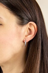 Hõbedased kõrvarõngad naistele Moiss E0000741 hind ja info | Kõrvarõngad | kaup24.ee