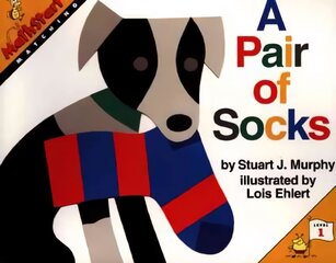 Pair of Socks цена и информация | Книги для малышей | kaup24.ee