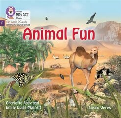 Animal Fun: Foundations for Phonics hind ja info | Noortekirjandus | kaup24.ee
