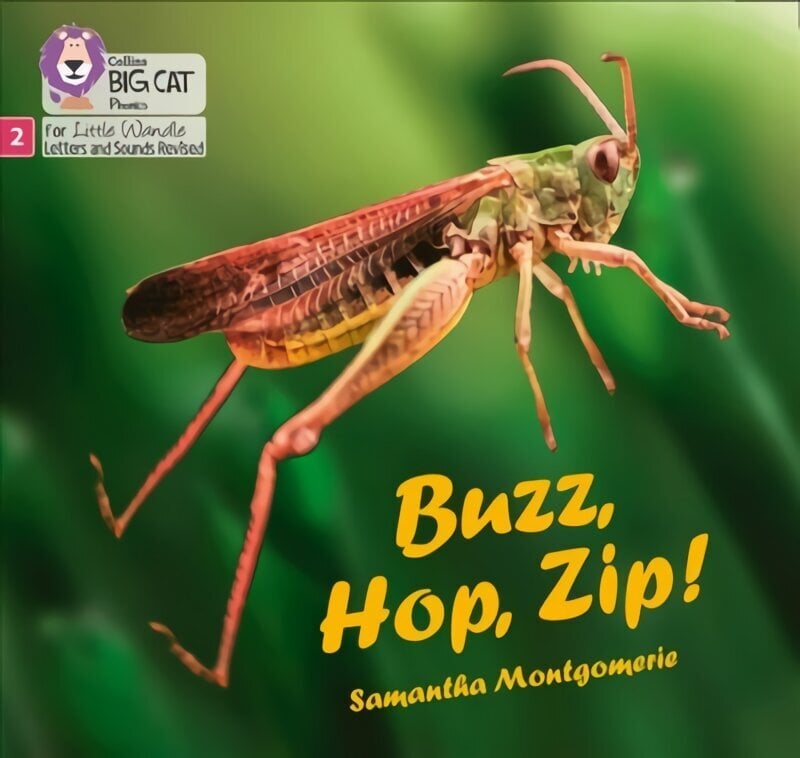 Buzz, Hop, Zip!: Phase 2 Set 5 hind ja info | Noortekirjandus | kaup24.ee