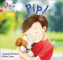 Pip!: Phase 2 Set 2 цена и информация | Книги для подростков и молодежи | kaup24.ee