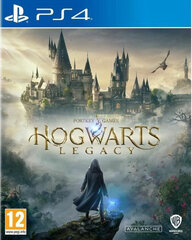Hogwarts Legacy цена и информация | Компьютерные игры | kaup24.ee