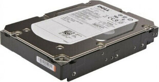 Dell 400-BLCK480 hind ja info | Sisemised kõvakettad (HDD, SSD, Hybrid) | kaup24.ee