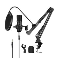 Condenser microphone Puluz PU612B Studio Broadcast цена и информация | Микрофоны | kaup24.ee