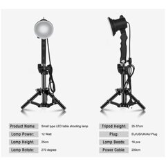 Lambid 12 W, 2 tk. hind ja info | Fotovalgustuse seadmed | kaup24.ee