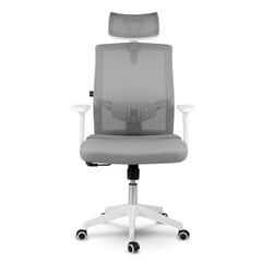 Офисное кресло с микросеткой, Rotar, серый цена и информация | Офисные кресла | kaup24.ee