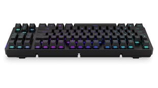 Endorfy Thock TKL беспроводной механическая клавиатура с подсветкой RGB (US, Kailh Box Black Switch) цена и информация | Клавиатуры | kaup24.ee