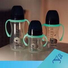 Lutipudel Canpol Babies 52455, 3 kuud+, 240 ml hind ja info | Lutipudelid ja aksessuaarid | kaup24.ee