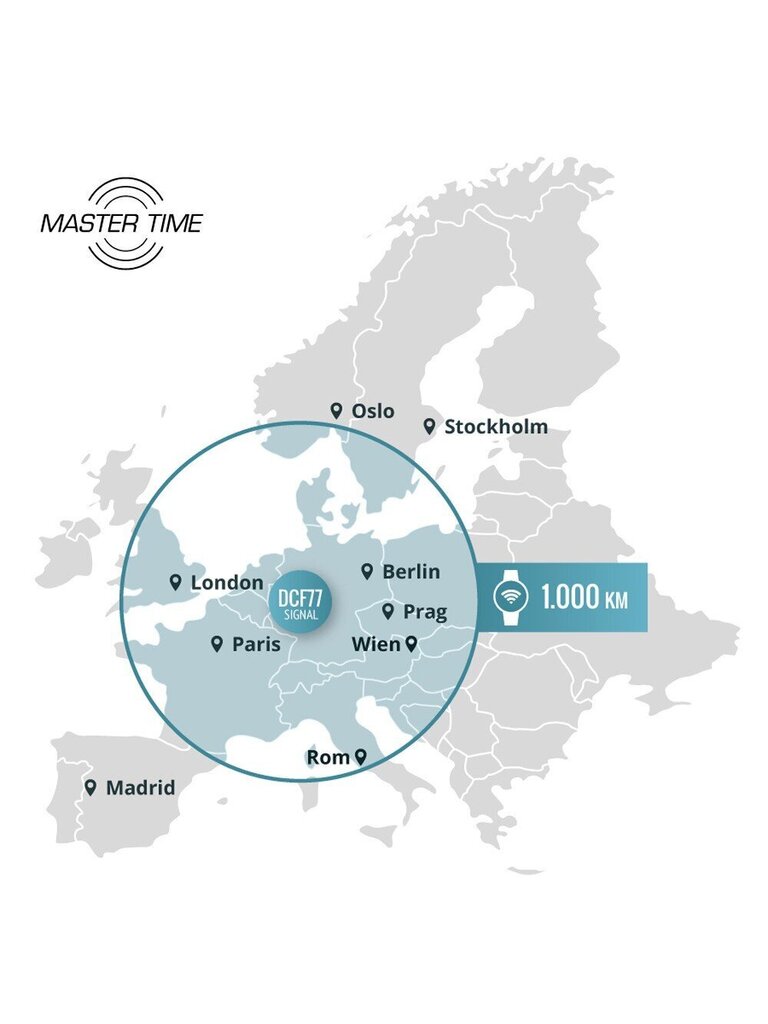 Käekell naistele Master Time MTLA 10706 60M цена и информация | Naiste käekellad | kaup24.ee