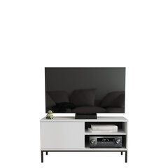 ТВ столик Marinez 1D, белый цена и информация | Тумбы под телевизор | kaup24.ee