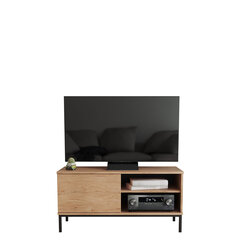 ТВ столик Marinez 1D, коричневый цена и информация | Тумбы под телевизор | kaup24.ee