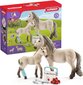 Kujukeste komplekt Schleich Horse Club 42430 hind ja info | Tüdrukute mänguasjad | kaup24.ee