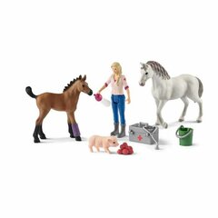 Набор фигурок Визит ветеринара Schleich Farm World 42486 цена и информация | MUST Металлическая бутылочка с Ярким рисунком (без BPA) (500ml) для мальчиков от 3+ лет Серая с Машинкой | kaup24.ee