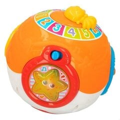 Muusikaline mängupall Winfun цена и информация | Игрушки для малышей | kaup24.ee
