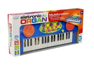 Klaveri ja mikrofoni komplekt, sinine hind ja info | Arendavad mänguasjad | kaup24.ee