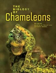 Biology of Chameleons hind ja info | Majandusalased raamatud | kaup24.ee