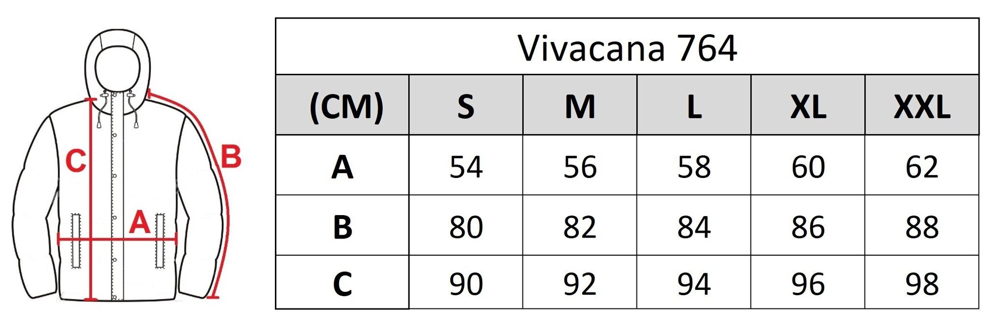 Jope meestele Vivacana 764d hind ja info | Meeste joped | kaup24.ee