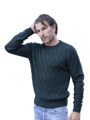 Свитер мужской M.Lasota, зеленый цена и информация | Мужские свитера | kaup24.ee